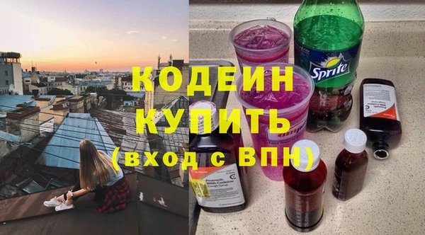 хмурый Мегион