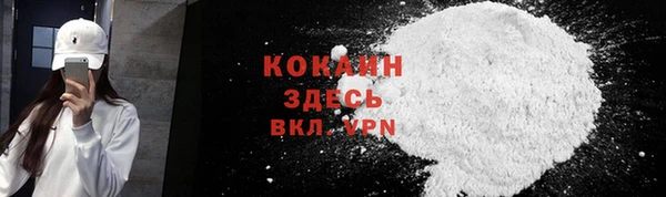 хмурый Мегион