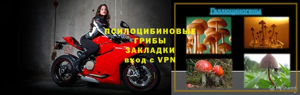хмурый Мегион