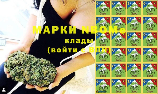 хмурый Мегион