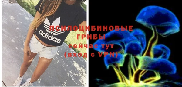 хмурый Мегион