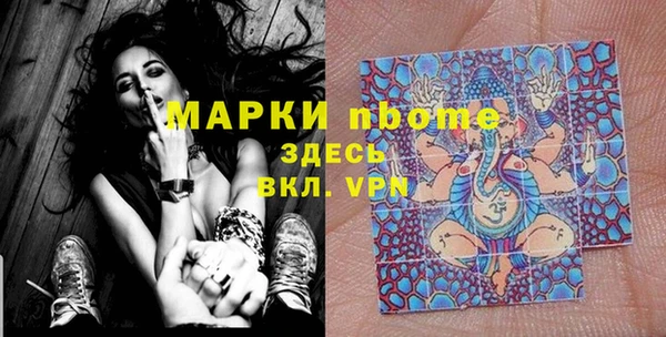 хмурый Мегион
