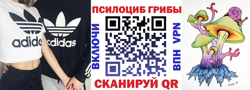 Псилоцибиновые грибы MAGIC MUSHROOMS  Купить  Уссурийск 